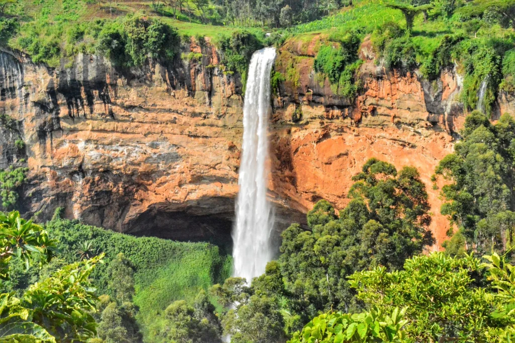 Best Time to Visit Uganda for Safari