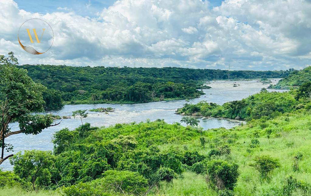 How to Plan Your First Uganda Safari