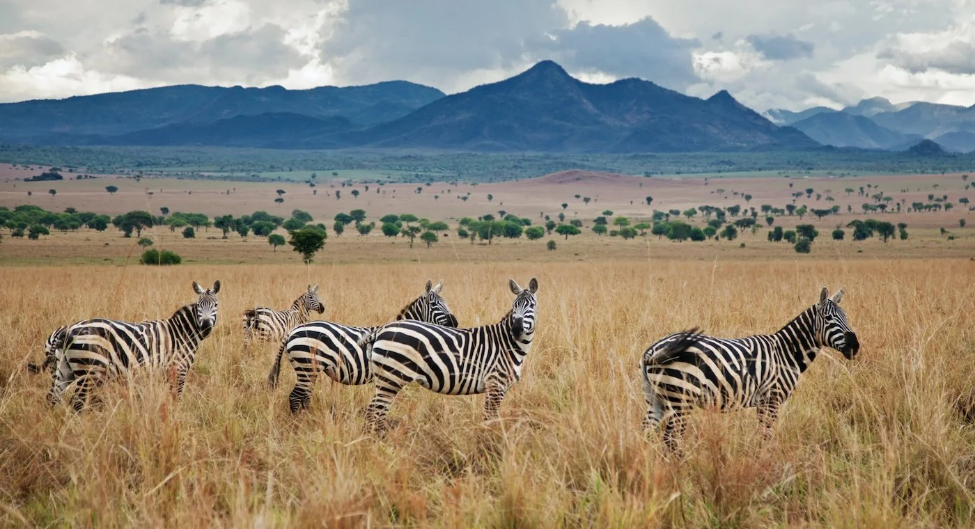 Kidepo Valley game drive landscape in Uganda