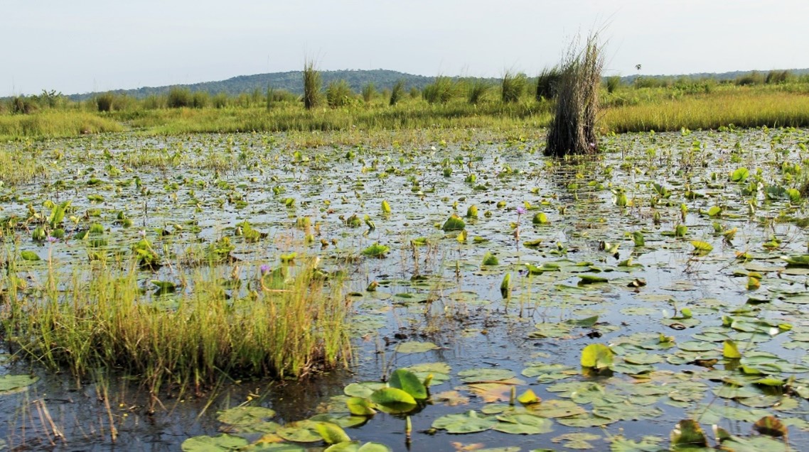 16-Day Ultimate Uganda Safari